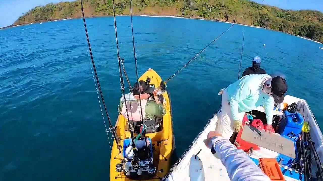 EXTREME Offshore Fishing {CATCH CLEAN COOK} Whole Fried Snapper video Dailymotion