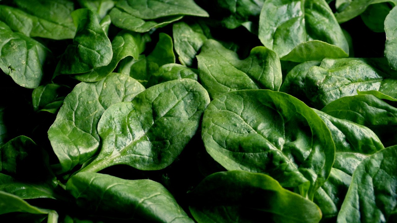 Bagged Spinach, Kale, And Collard Greens Recalled Over Possible