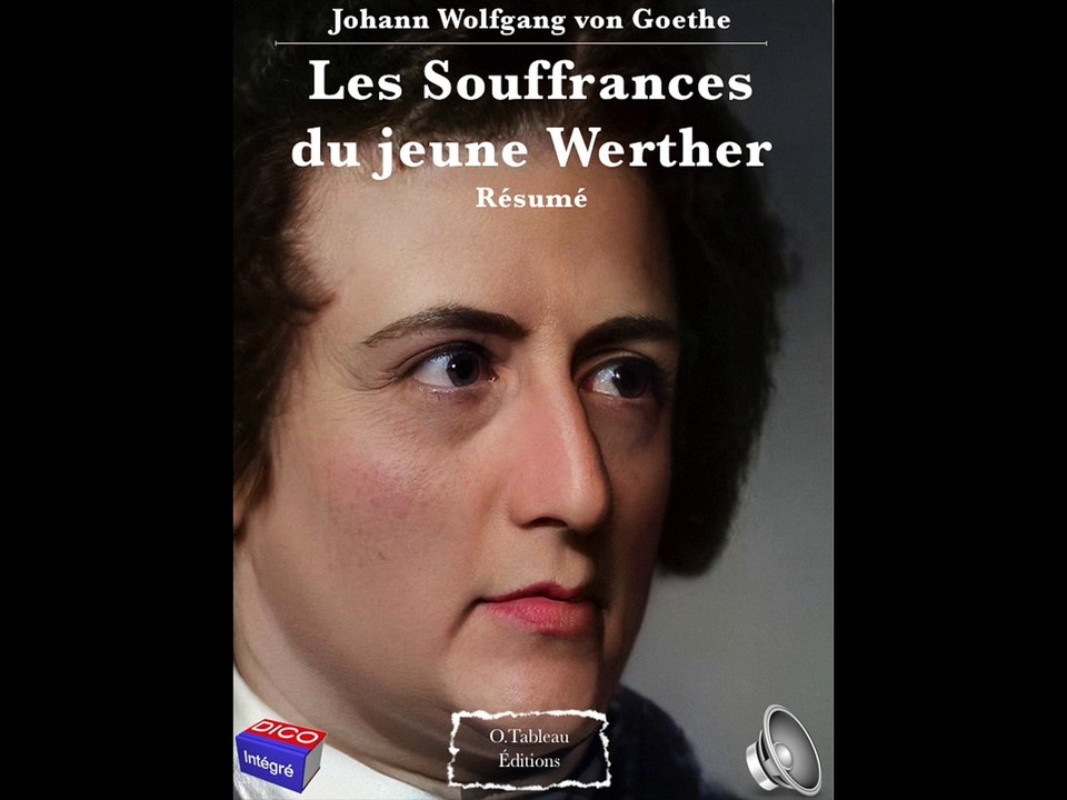 Johann Wolfgang von Goethe Les Souffrances du jeune Werther Résumé