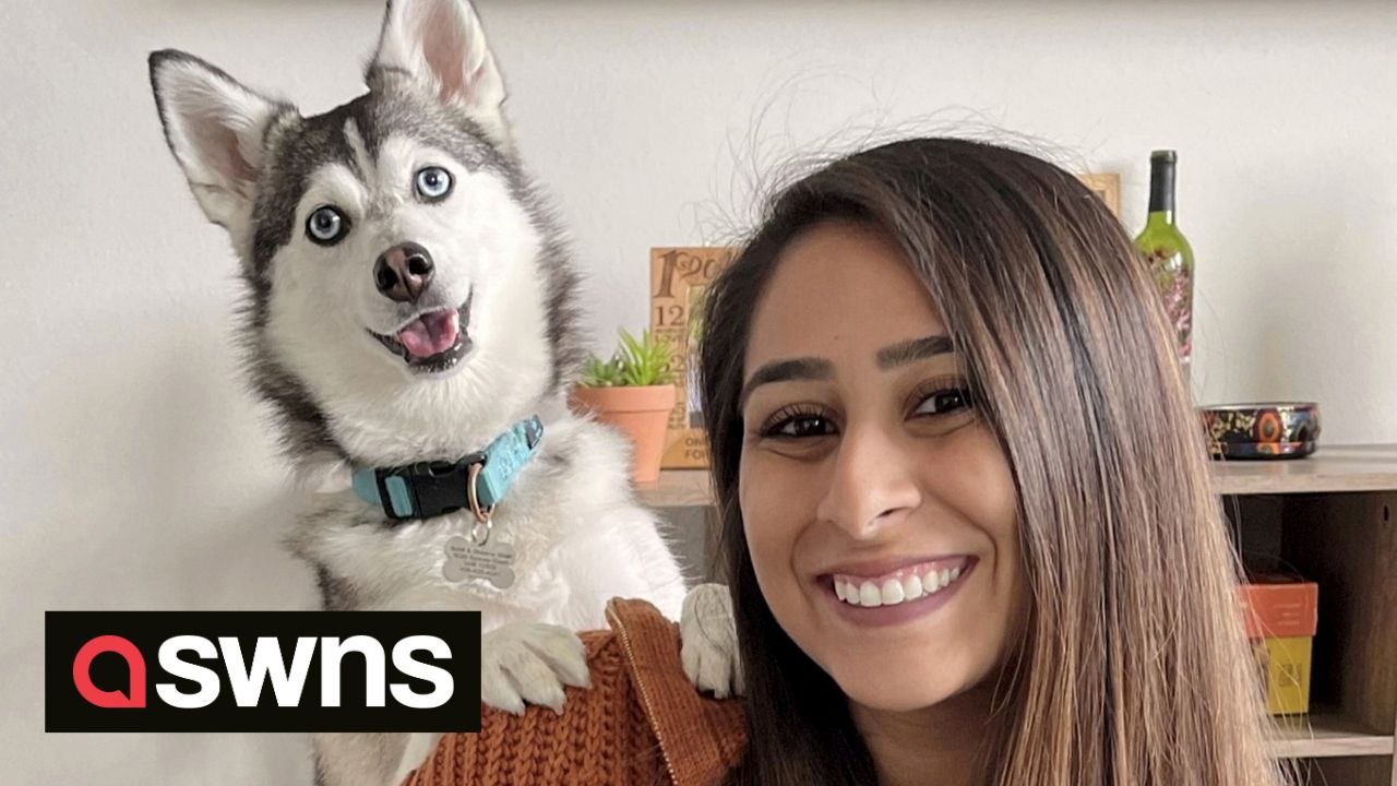 “I taught my dog to speak he bosses my husband around and tells him