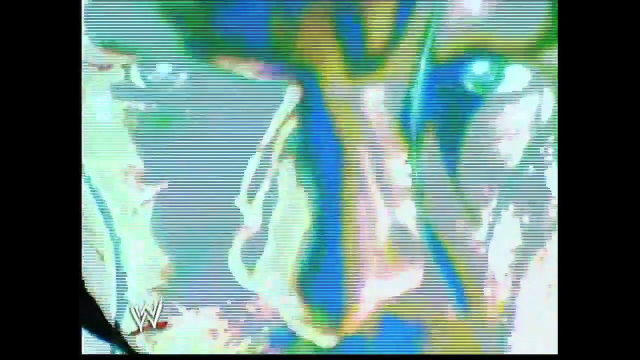 WWE Bad Blood 2004 Hell in a Cell Shawn Michaels vs. Triple H (Promo, Match Entrances, & First