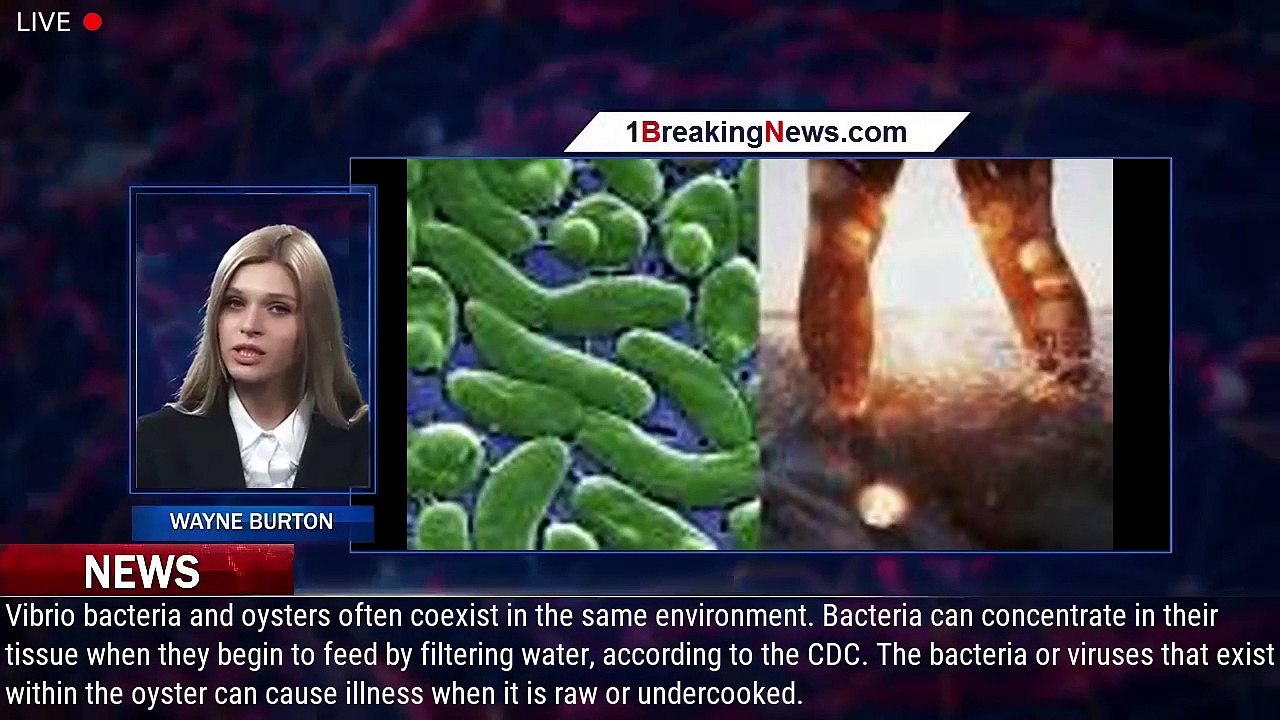 Man dies after eating oysters infected by Vibrio vulnificus bacteria