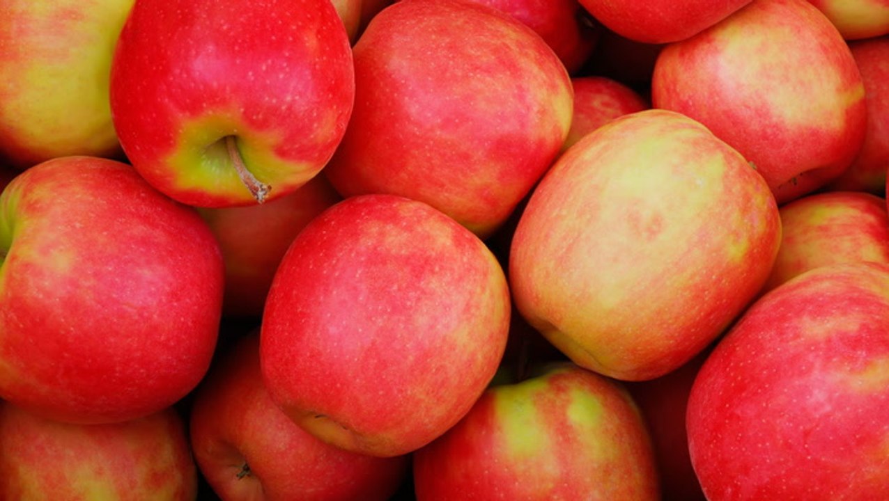 The Best Apples For Eating video Dailymotion