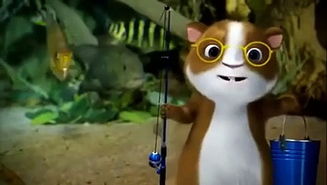 PBS Kids Where in the World is Hooper The Aquarium Vídeo Dailymotion