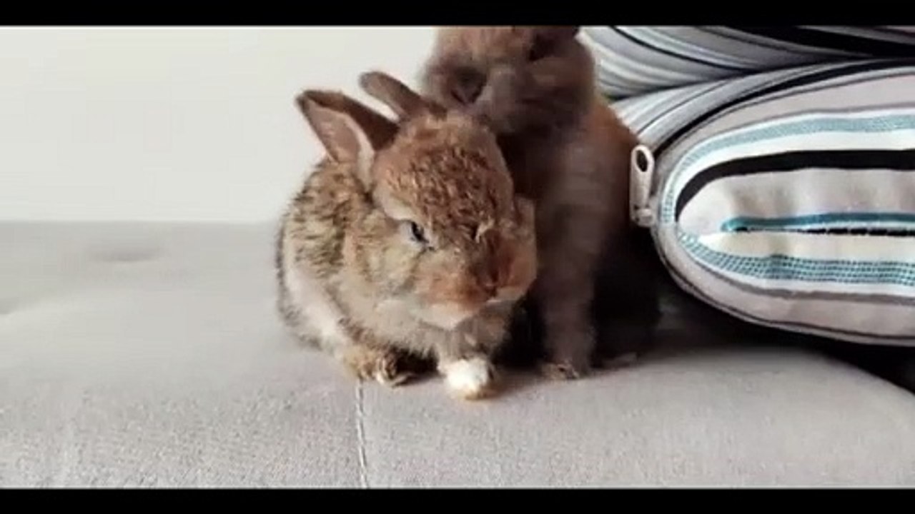 Addison's Perfect Gift For Johnny video Dailymotion