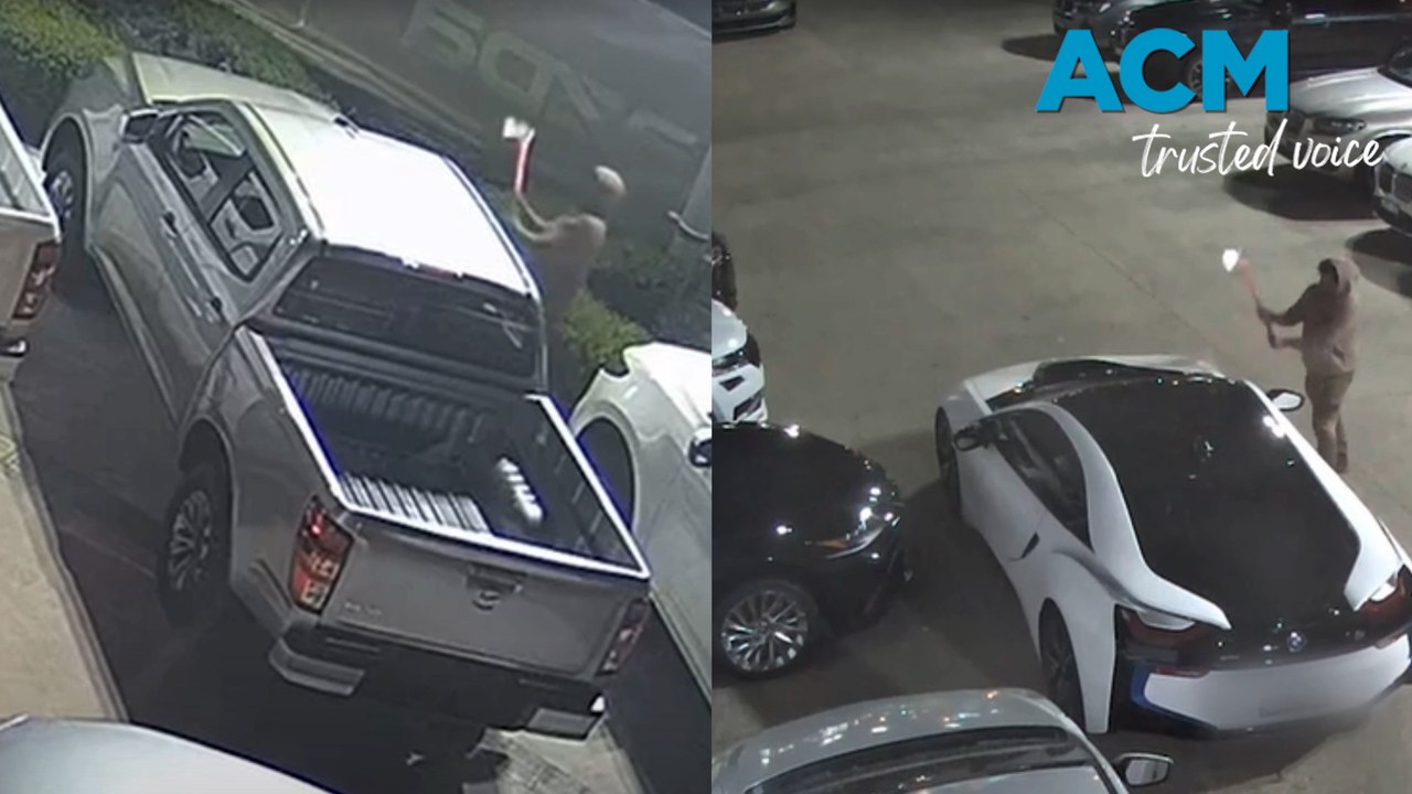 Melbourne crime spree axewielding vandal targets car dealerships