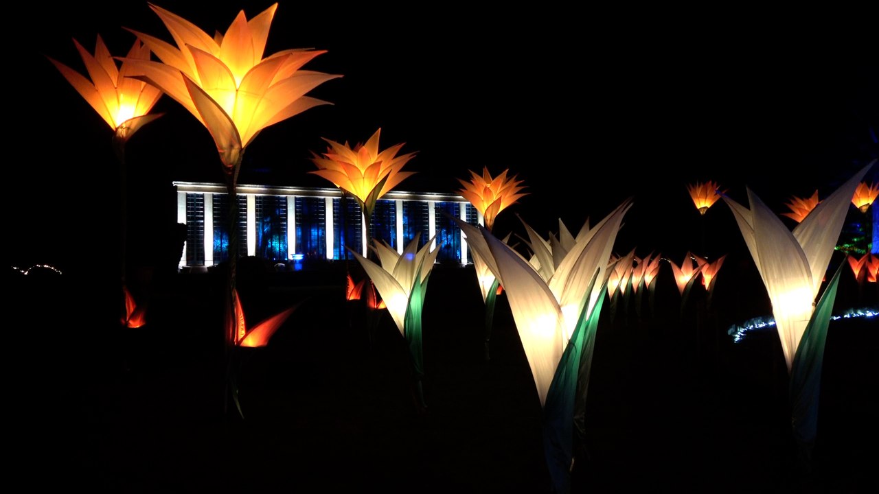 FIRST LOOK Christmas At Belton 2023 is dazzling new lightstrail