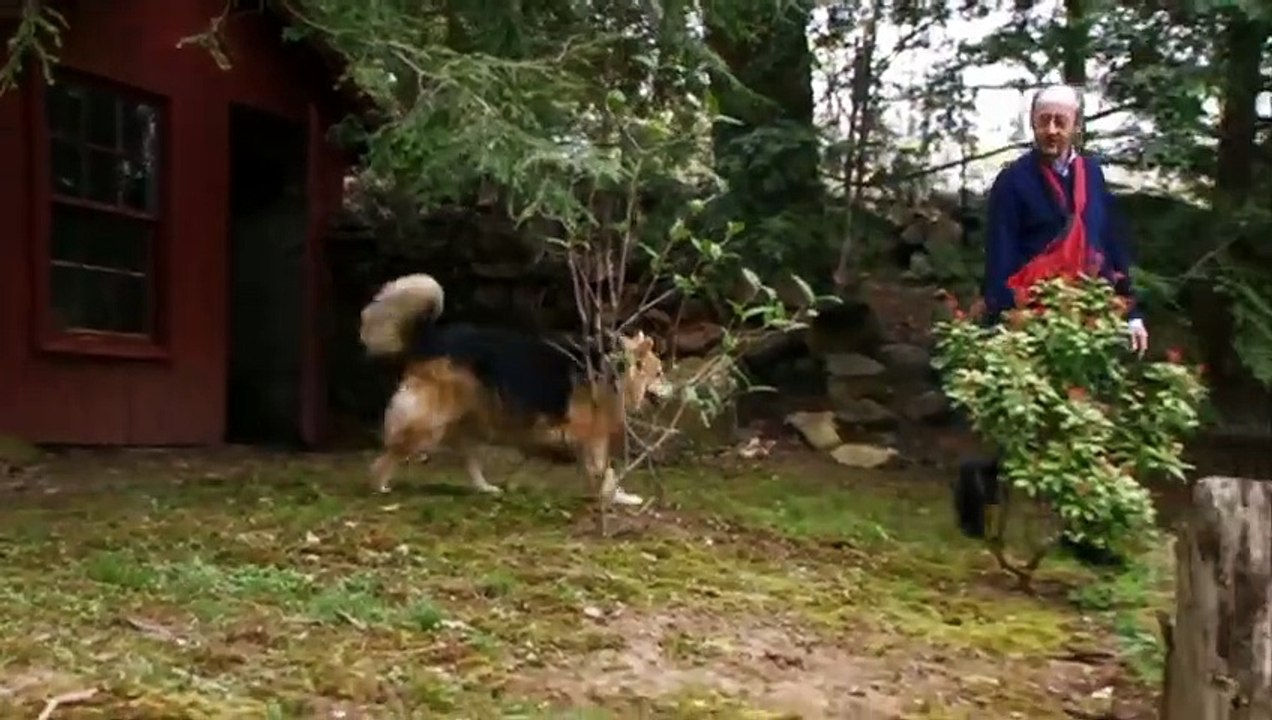 My Dog An Unconditional Love Story movie 2009 Official Trailer video Dailymotion
