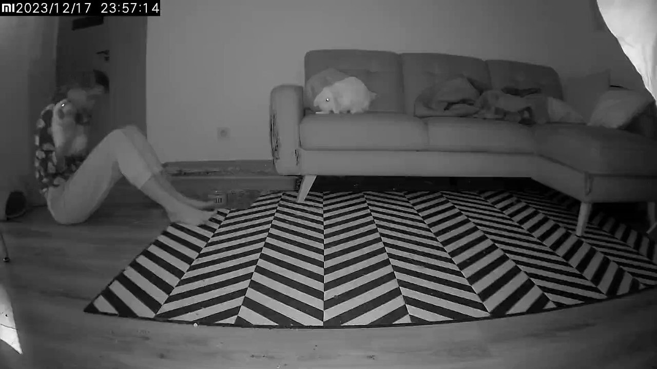 Jealous Bunny Throws A Tantrum video Dailymotion