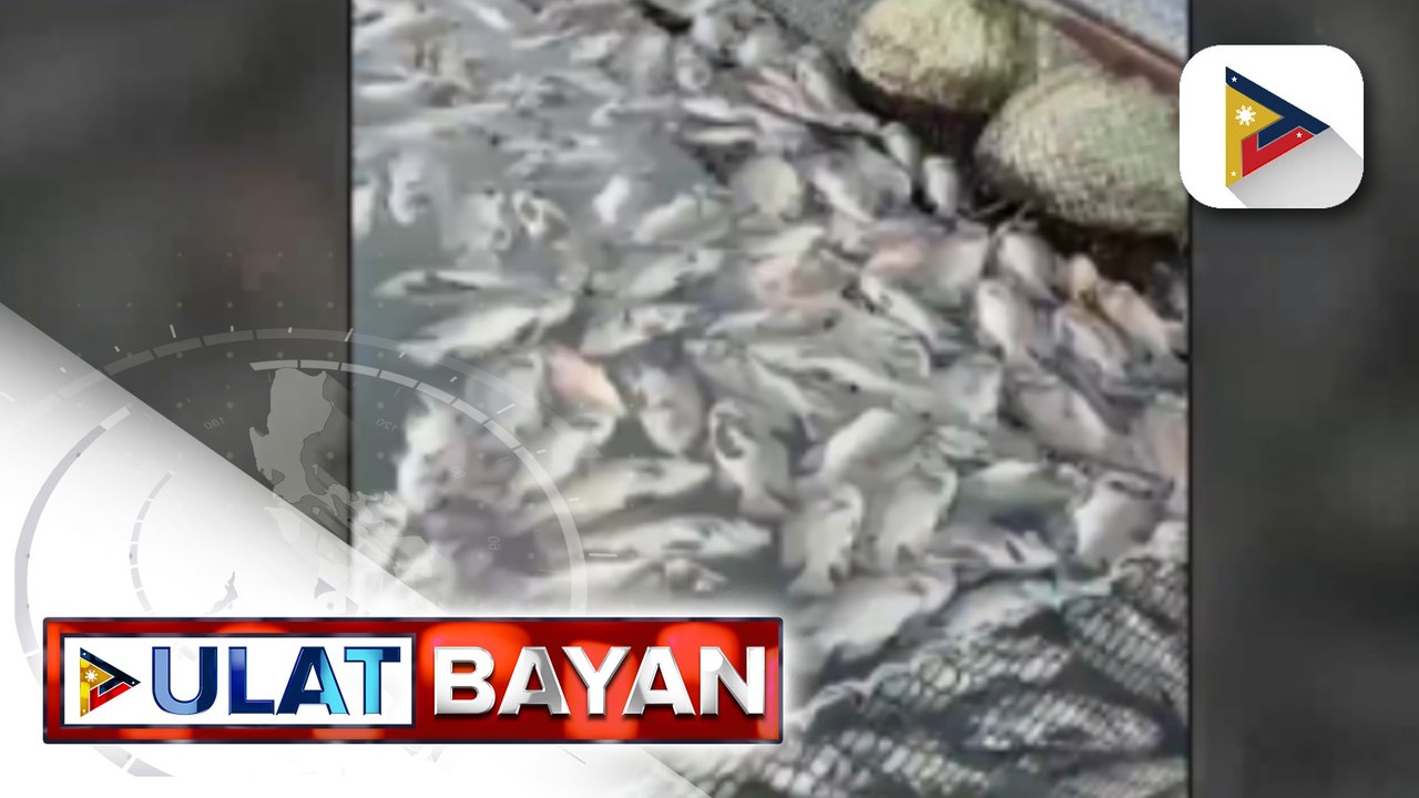Fish kill sa Lake Sebu, South Cotabato, iniimbestigahan na ng BFAR