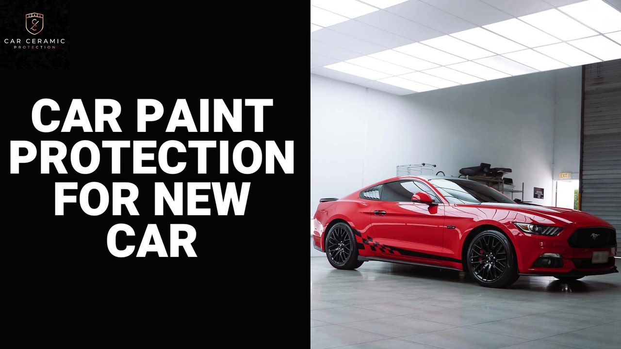 Car Paint Protection for New Car video Dailymotion
