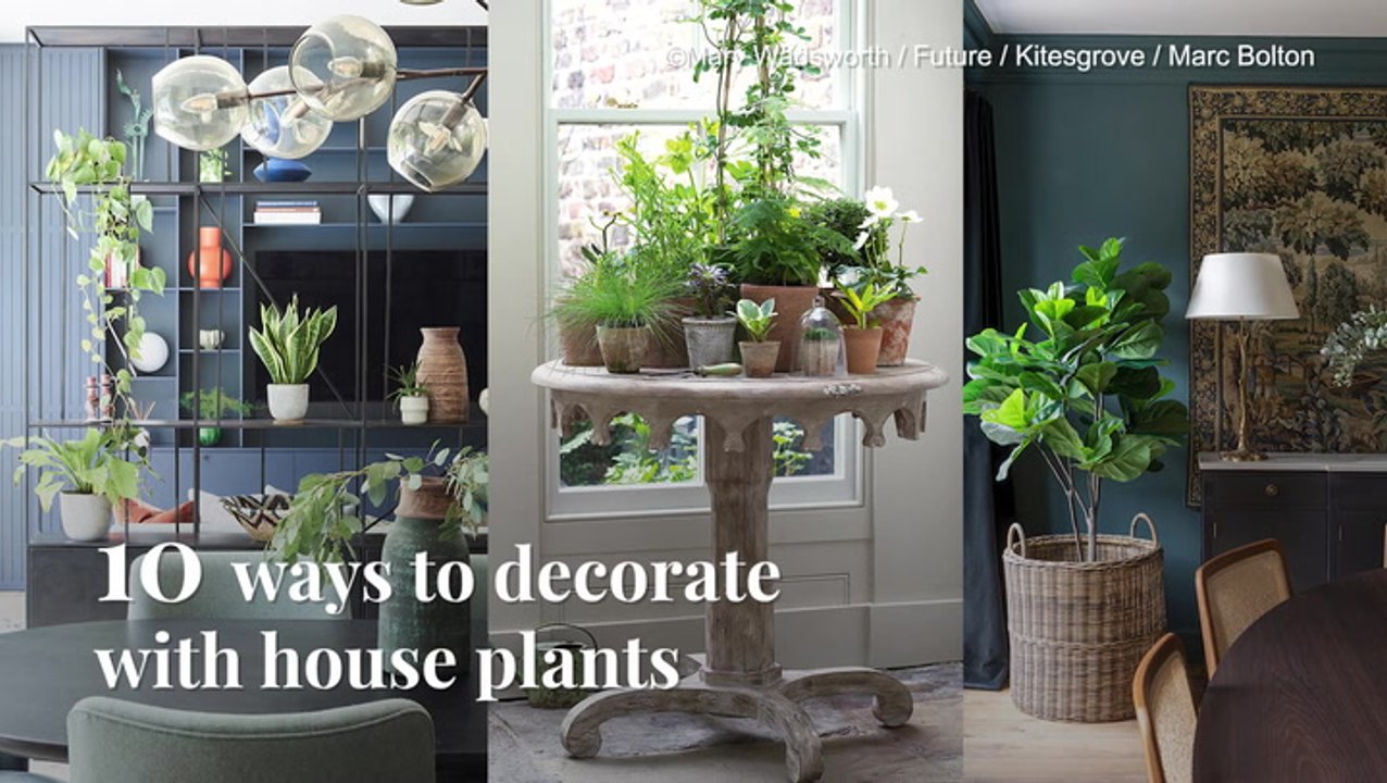 Tips OnUsing Plants To Decorating Your Home video Dailymotion