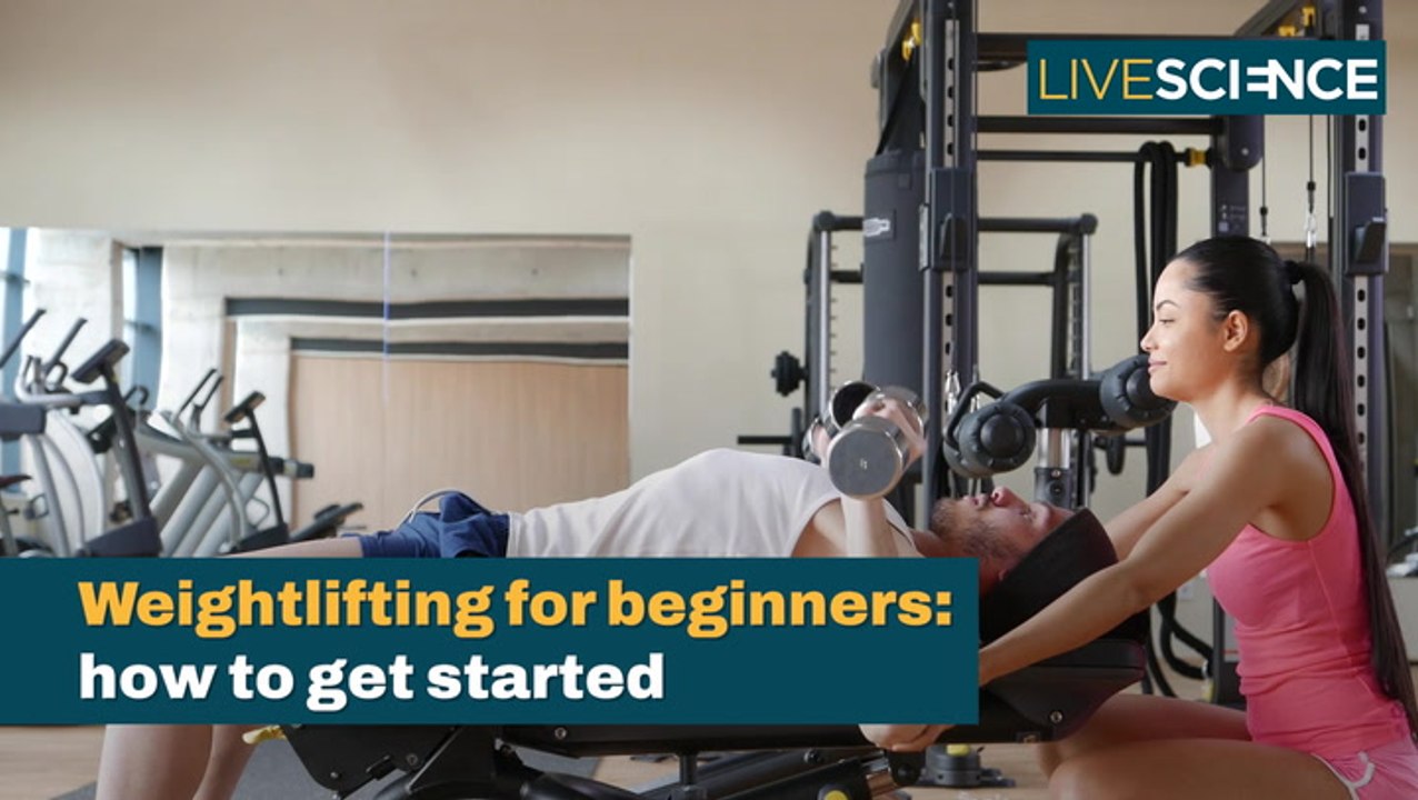 Weightlifting Guide For Beginners video Dailymotion
