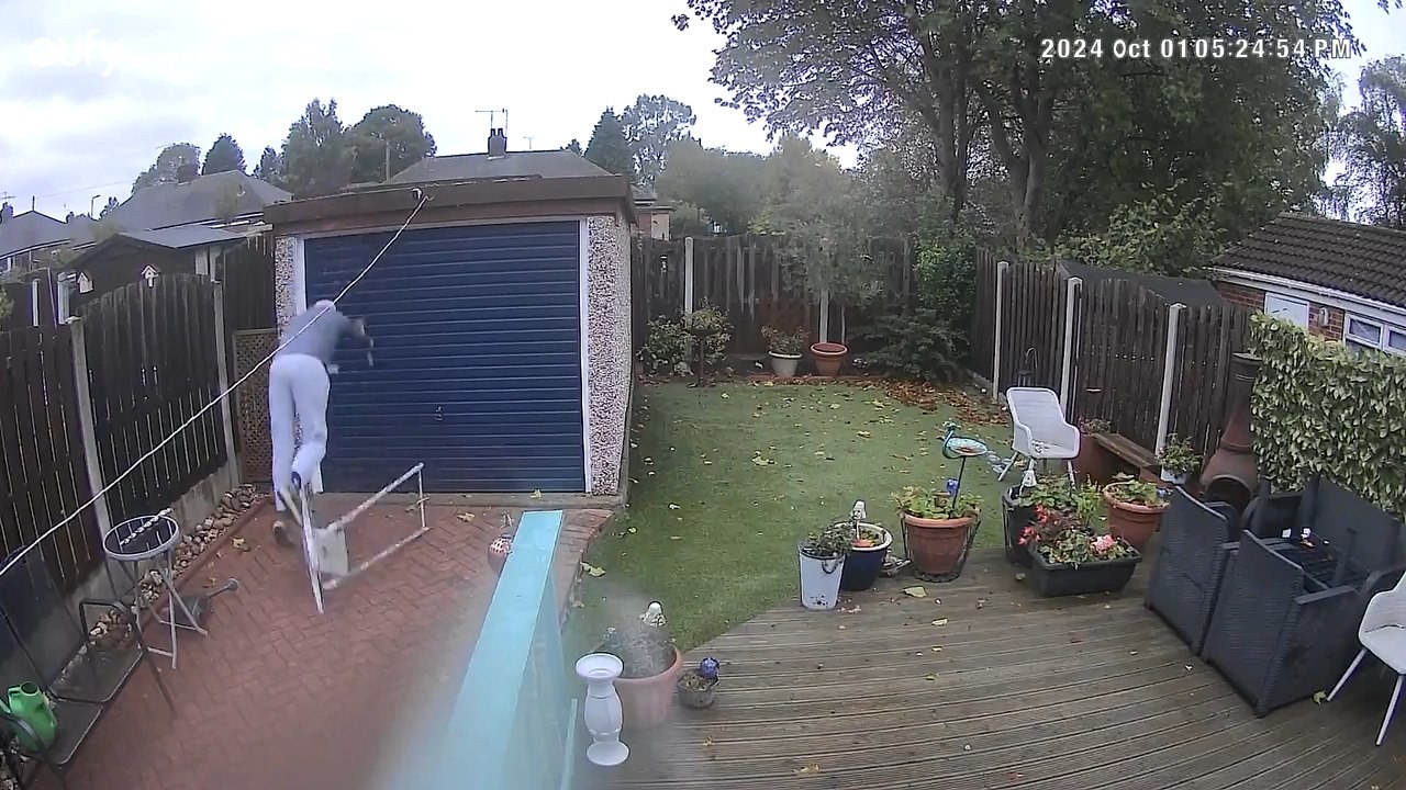 Man Falls from Ladder While Fixing Garage Roof video Dailymotion