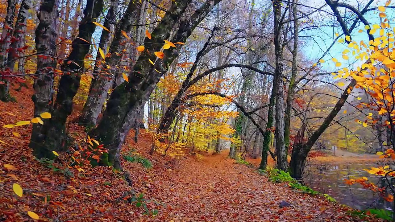 Lofi Work Space Deep Focus StudyWork Concentration [chill lofi hip