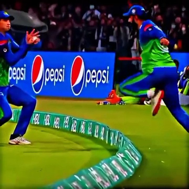 Best catches video Dailymotion