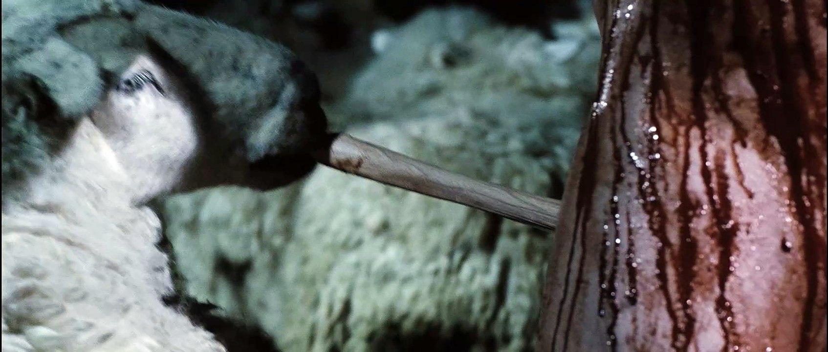 Black Sheep 17 methane from the ass burns especially well video