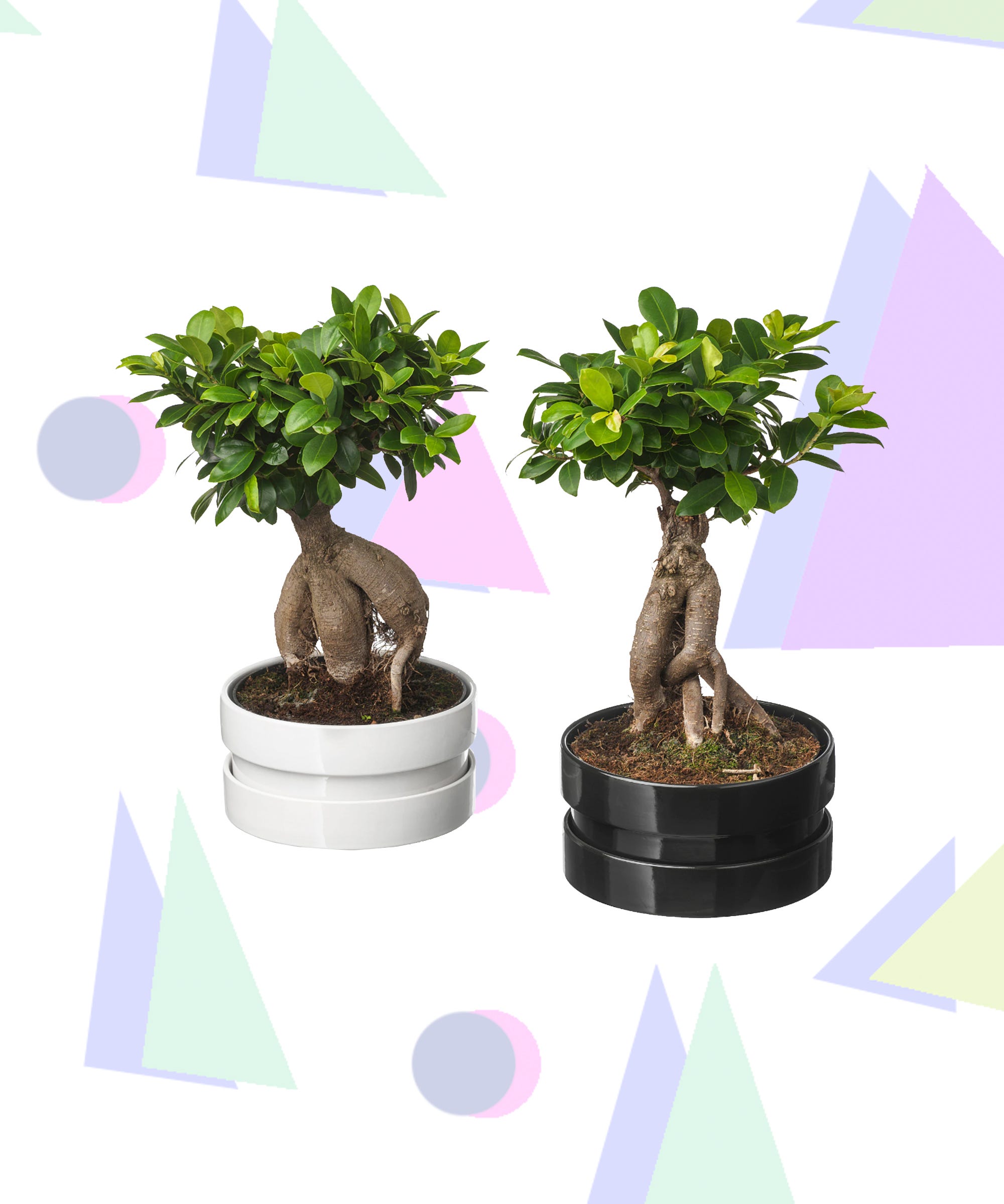 30+ Top For Fake Bonsai Tree Ikea Pink Wool