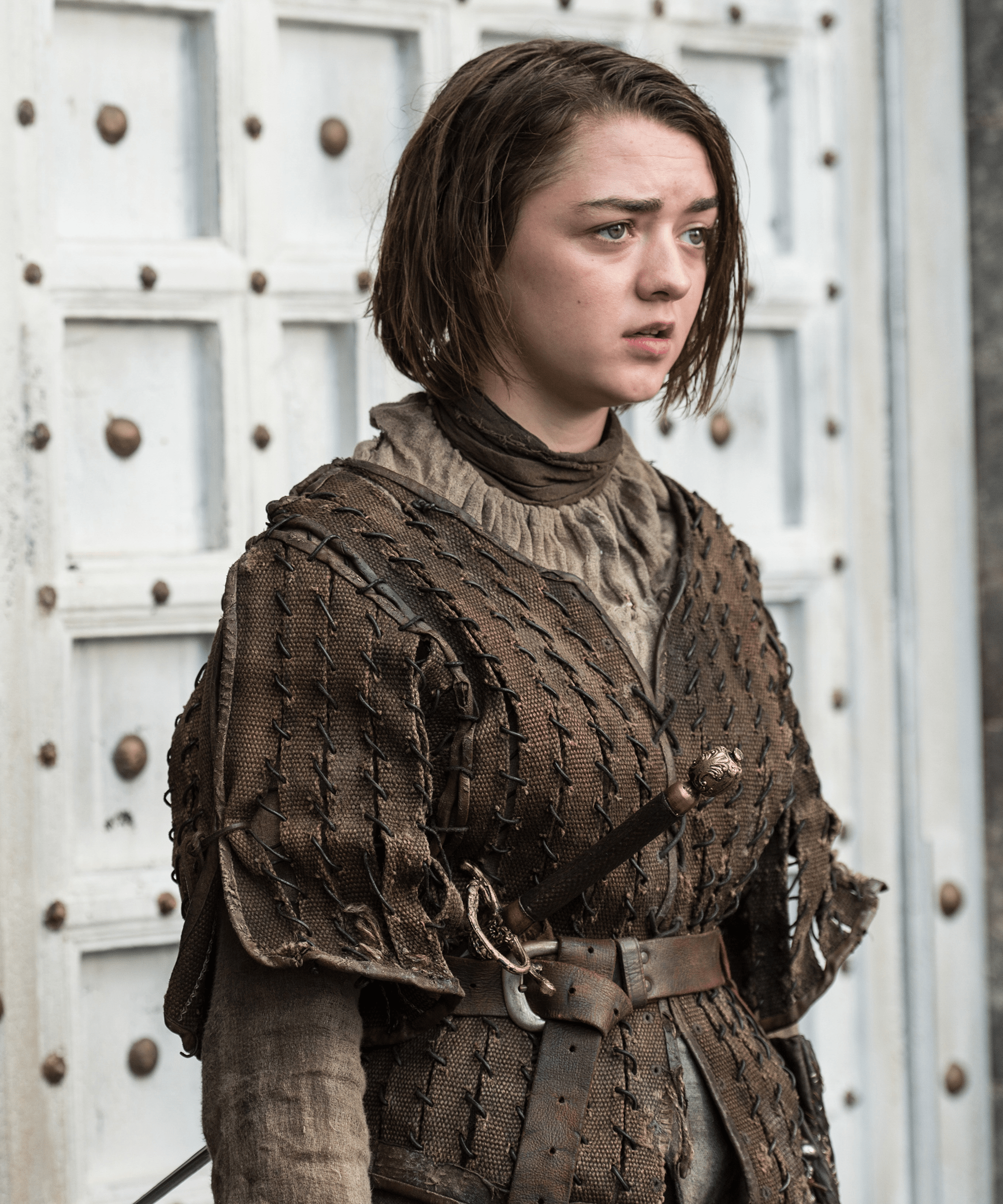 How Did Arya Go Blind BLINDS
