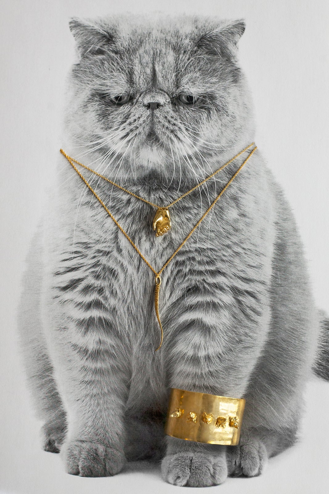 Cat Jewelry Fall Necklace, Bracelet, Ring Trends