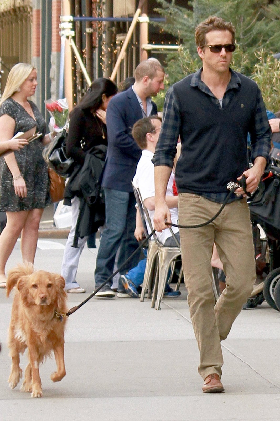 Celebrity Dogs — The Pets Of Hollywood Stars