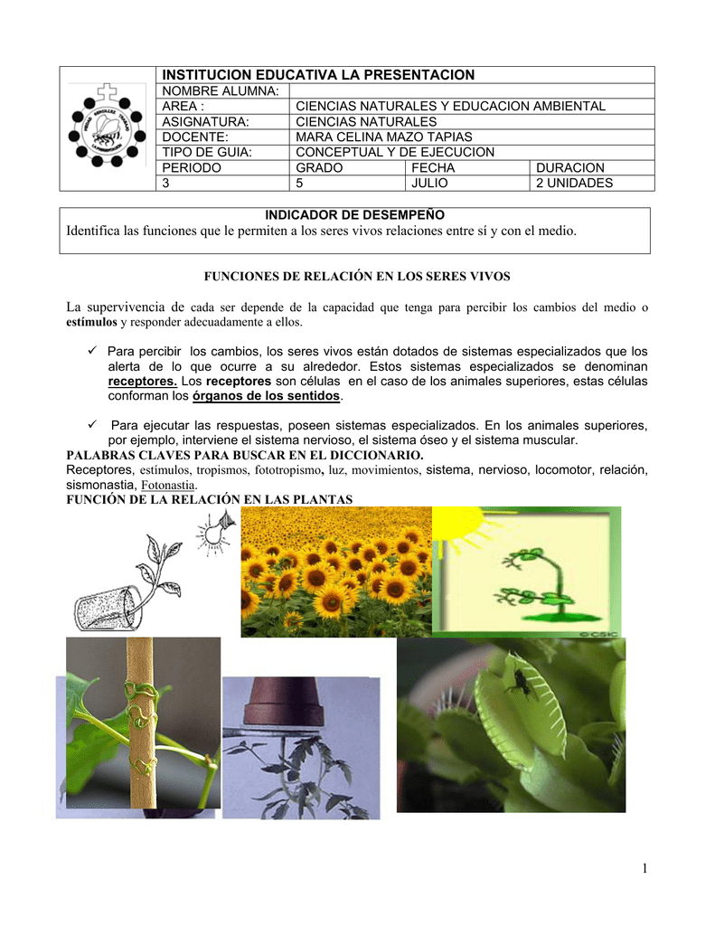 Ejemplos De Estimulos Y Respuestas En Plantas Colección de Ejemplo