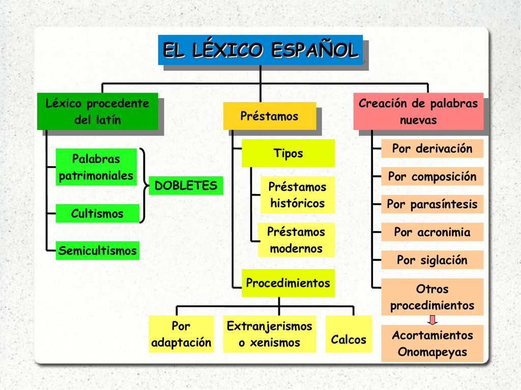 Ejemplos De Cultismos Y Su Significado Colección de Ejemplo