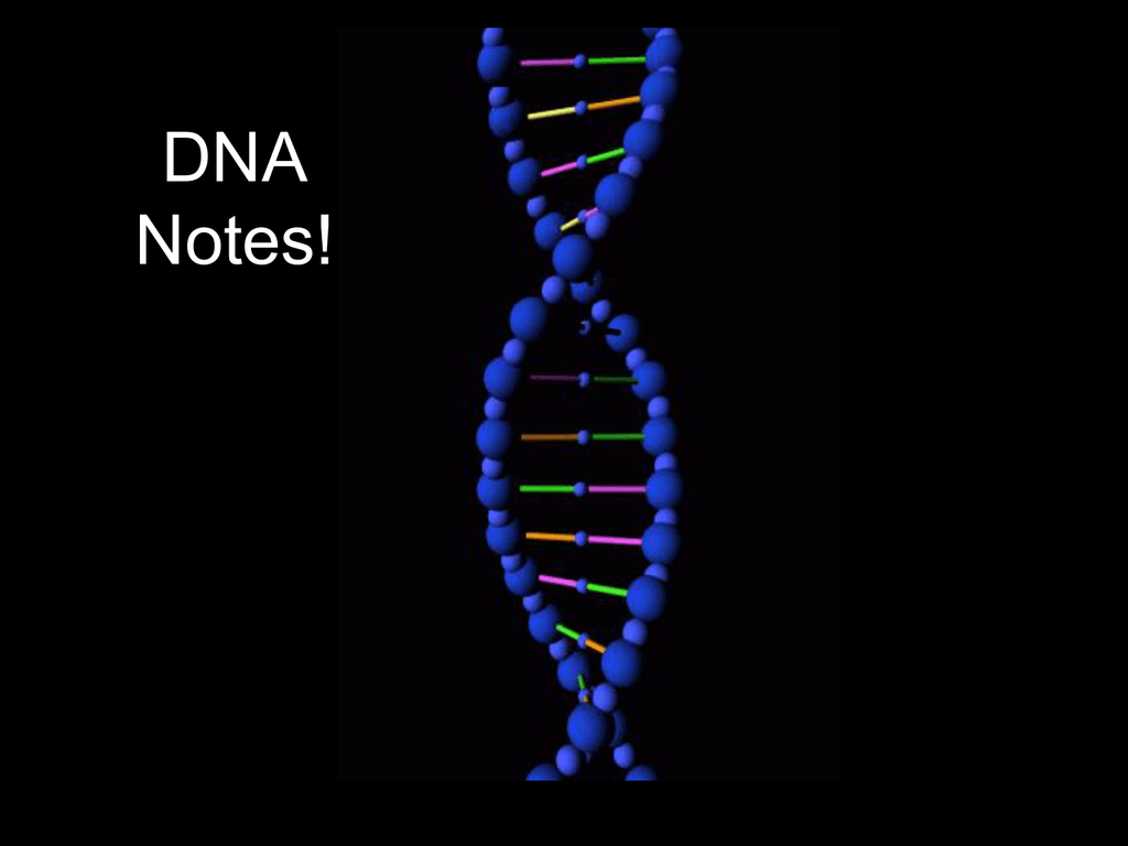 DNA