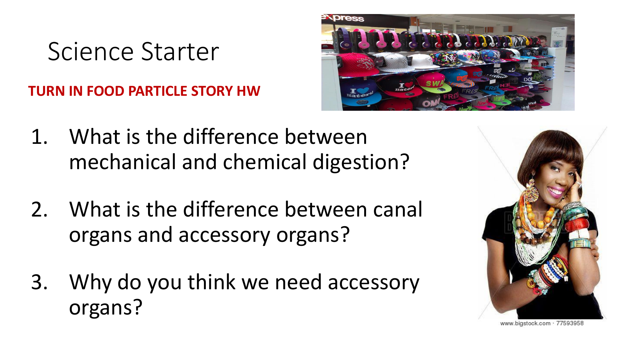 😀 What is the difference between mechanical and chemical digestion