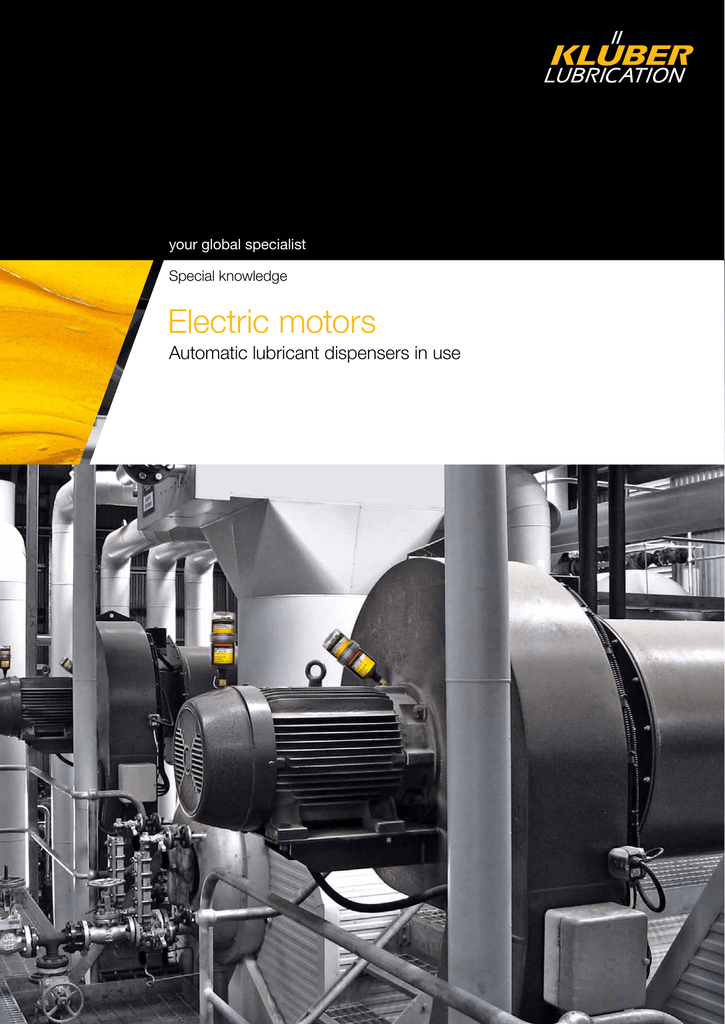 Electric motors Klüber Lubrication
