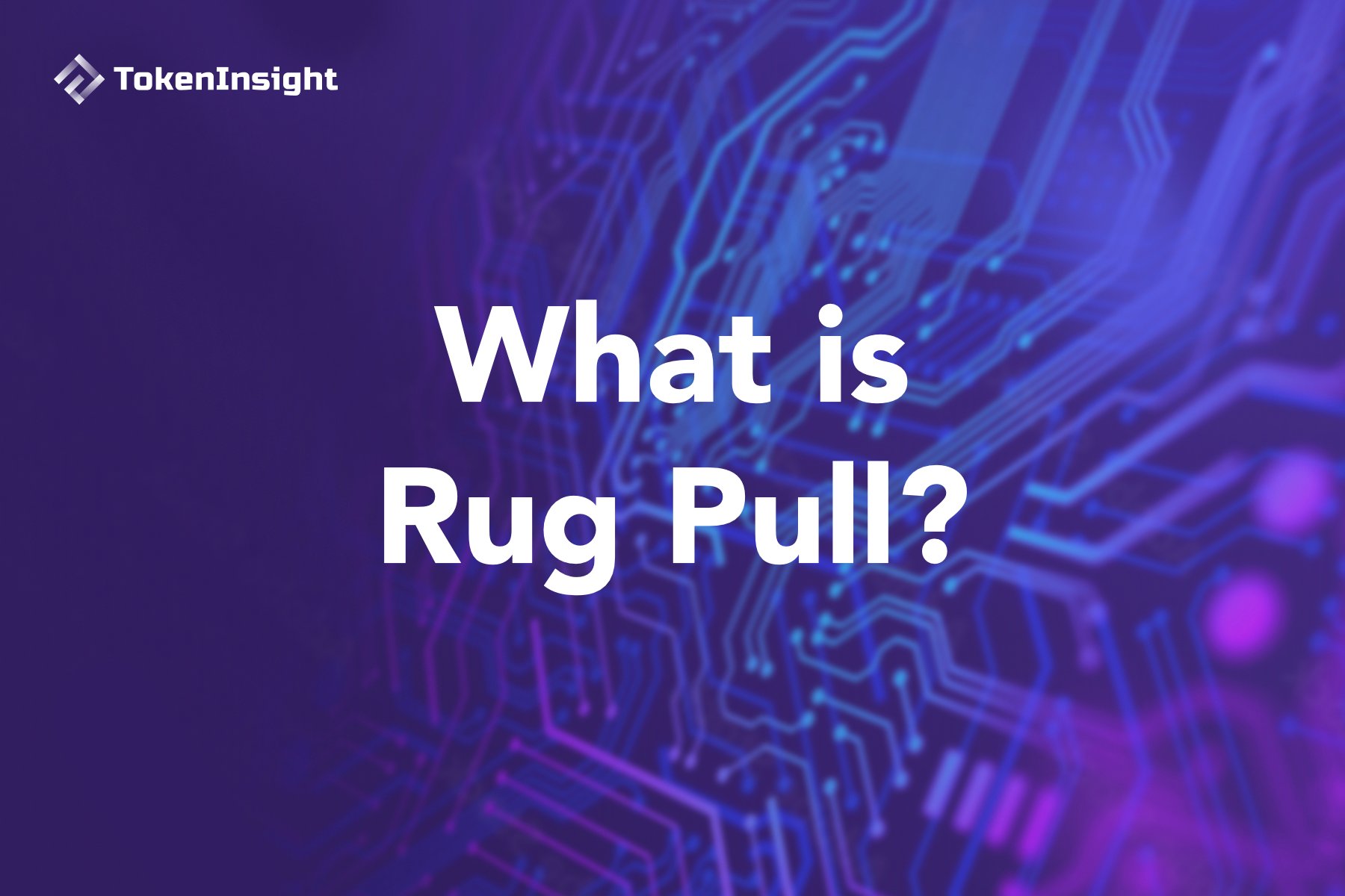 What is Rug Pull TokenInsight