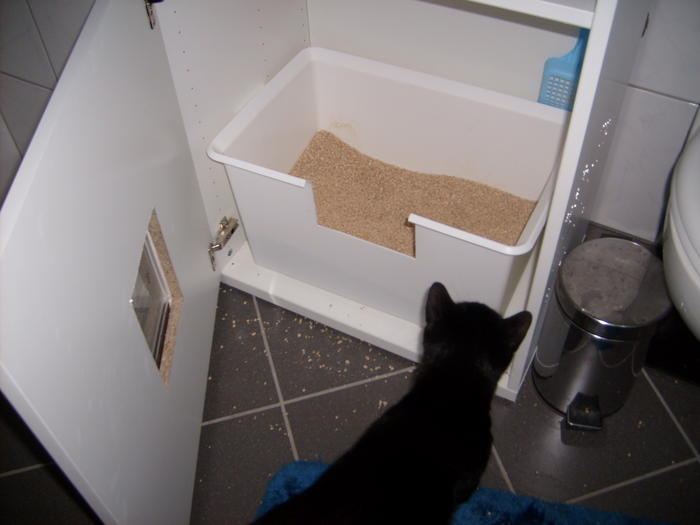 Erfahrungen mit IKEARegalen für Catwalk Seite 7 Katzen Forum
