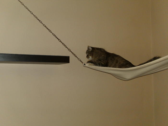 Erfahrungen mit IKEARegalen für Catwalk Seite 7