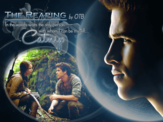 The Reaping Gale's POV ObsessedtwibrarianOTB Hunger Games Trilogy