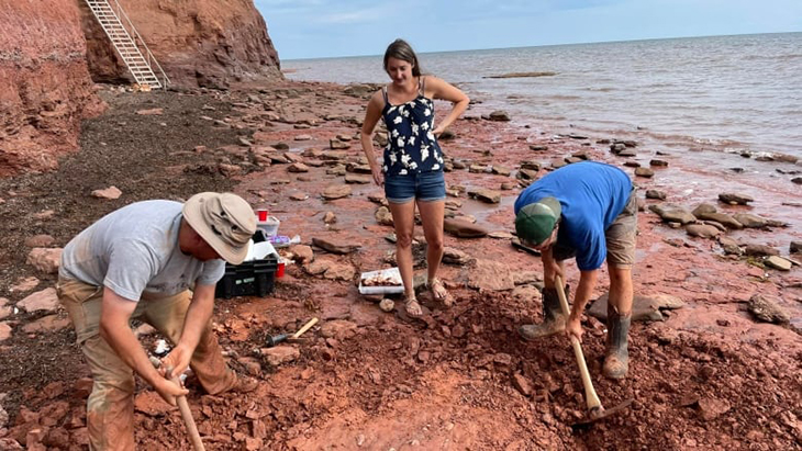 A Teacher In Canada Made An Incredible Discovery After Finding What
