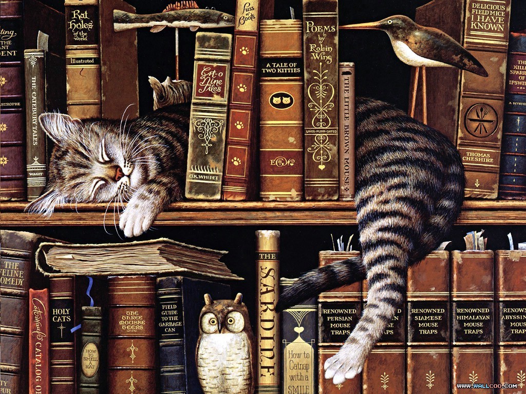 A round of appaws for this bookstore, where you can also adopt a cat! ‹ Literary Hub