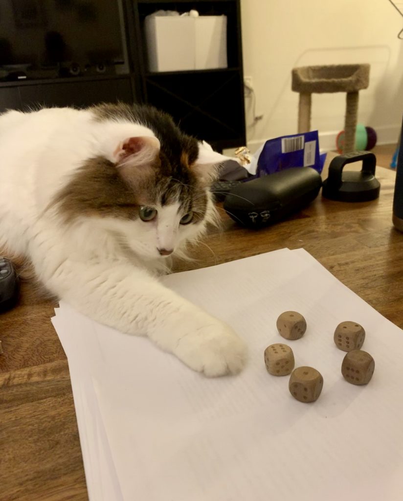 Your Afternoon Animal Fix PoPville