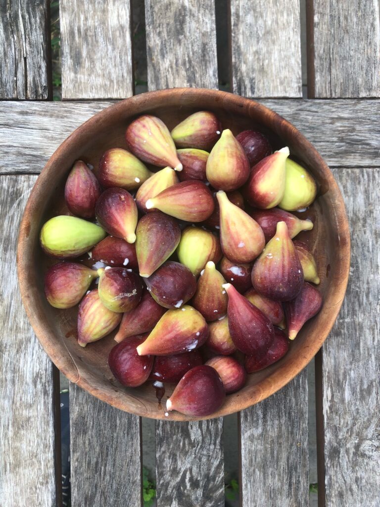 “Fig season in Hill East” PoPville