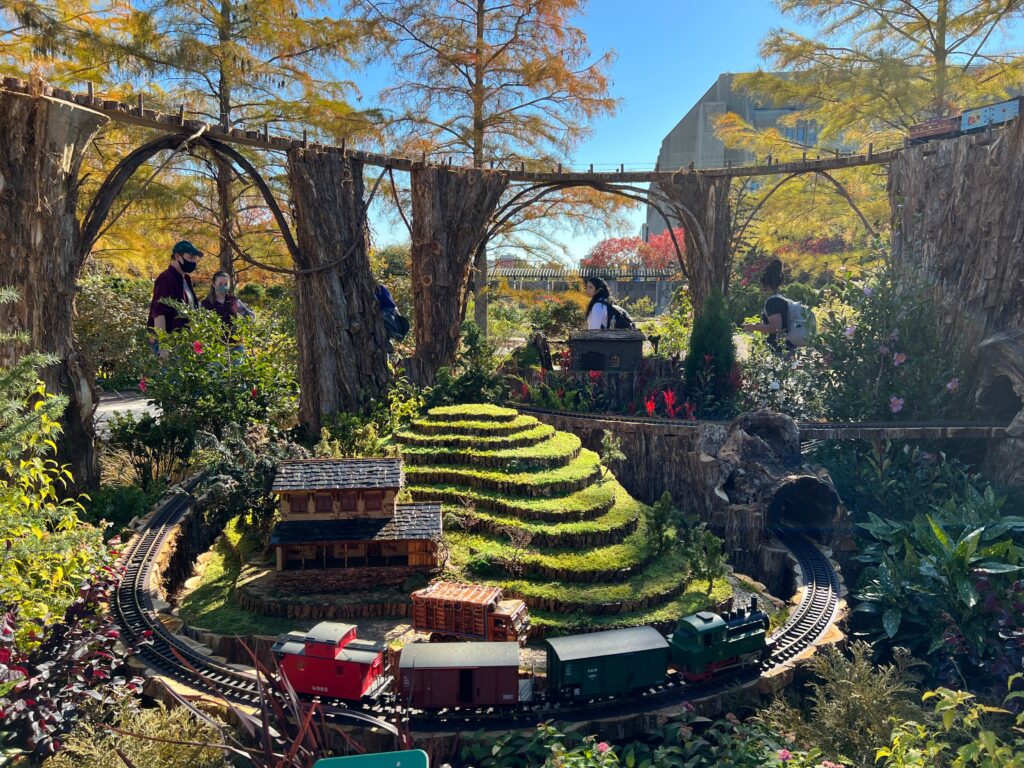 “Season’s Greenings” at U.S. Botanic Garden to Offer Holiday Cheer