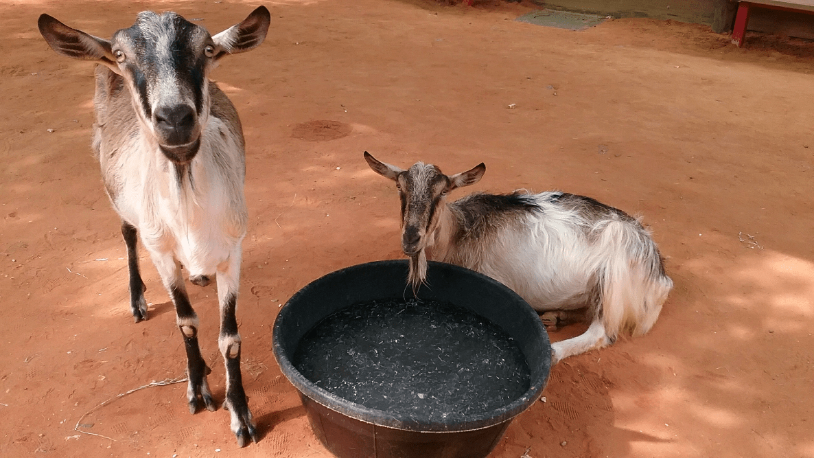 Where To Donate Aquariums