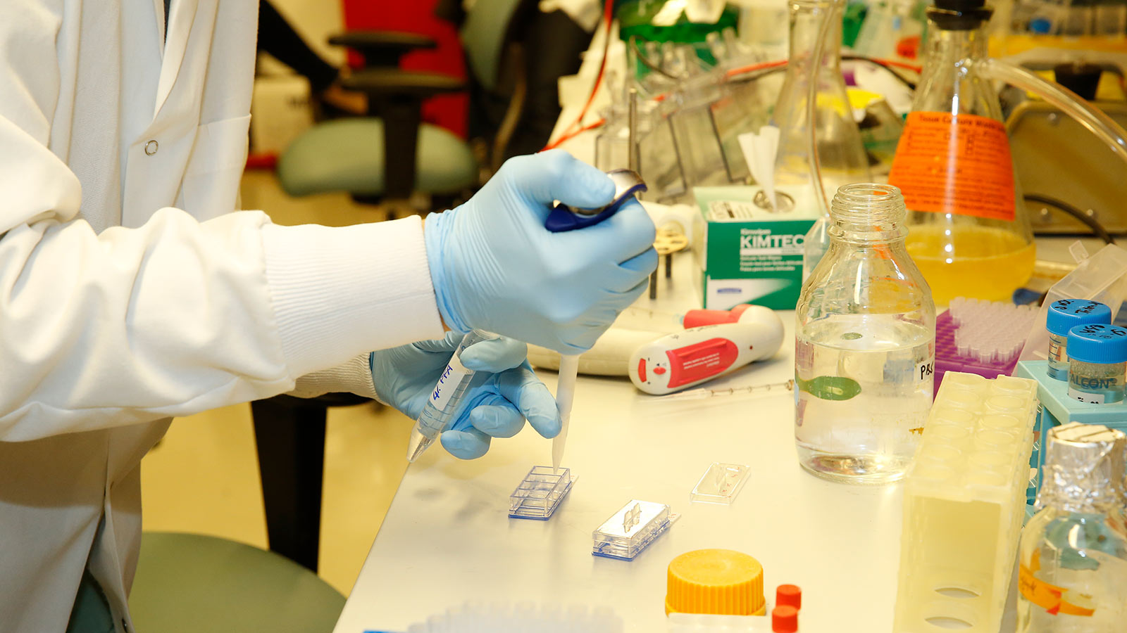 Chemistry Department Undergraduate Information Hunter