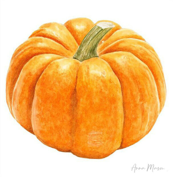 Realistic Watercolour 101 Anna Mason Art