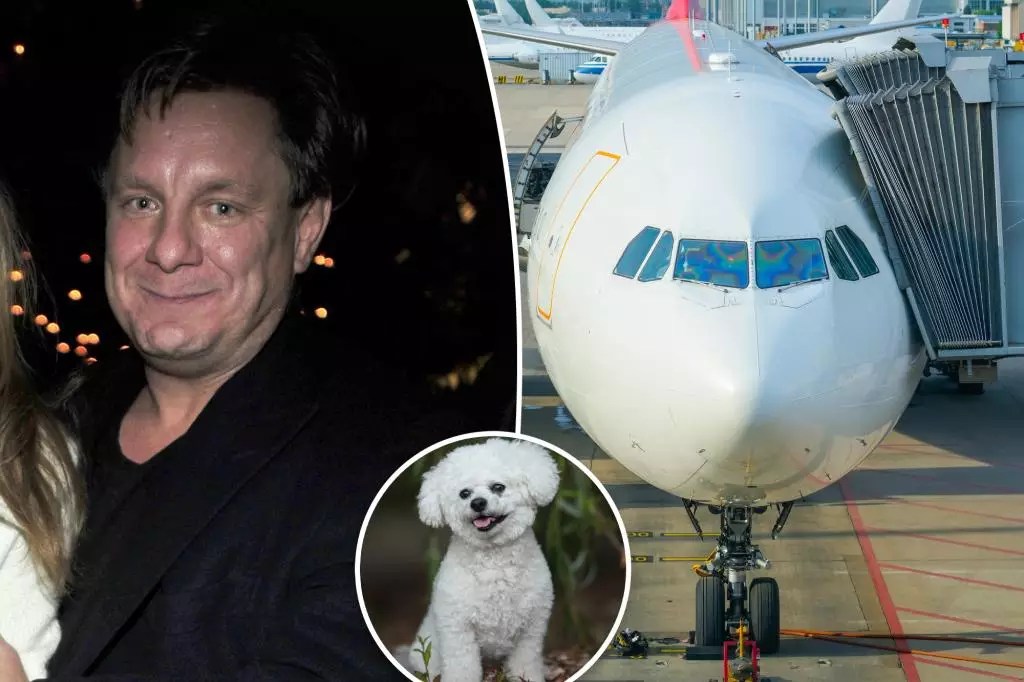 Paws and Policies: A Dog Owner’s Misadventure in the Skies