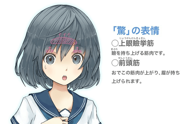 デジタルイラストの「表情」描き方事典 | Manga Drawing Books, Manga Books, Manga Drawing 表情の描き方講座！喜怒哀楽の顔のコツ｜お絵かき講座パルミー