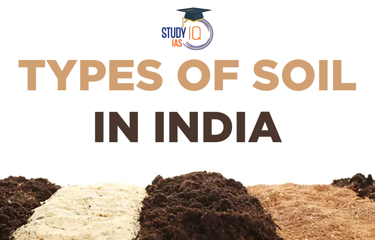 Types of Soil in India, Map, List, Soil Erosion, Soil Conservation