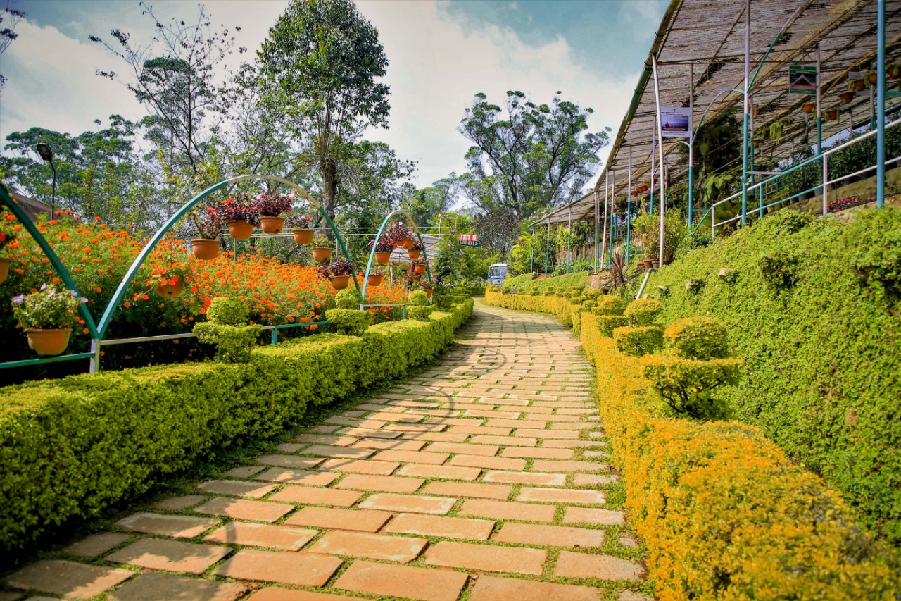 Munnar Rose Garden