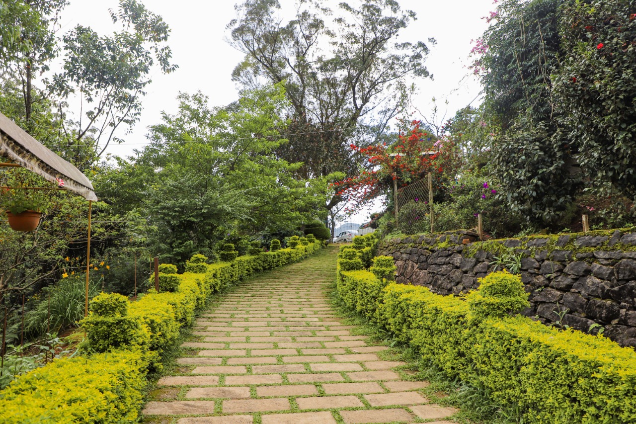 Munnar Rose Garden