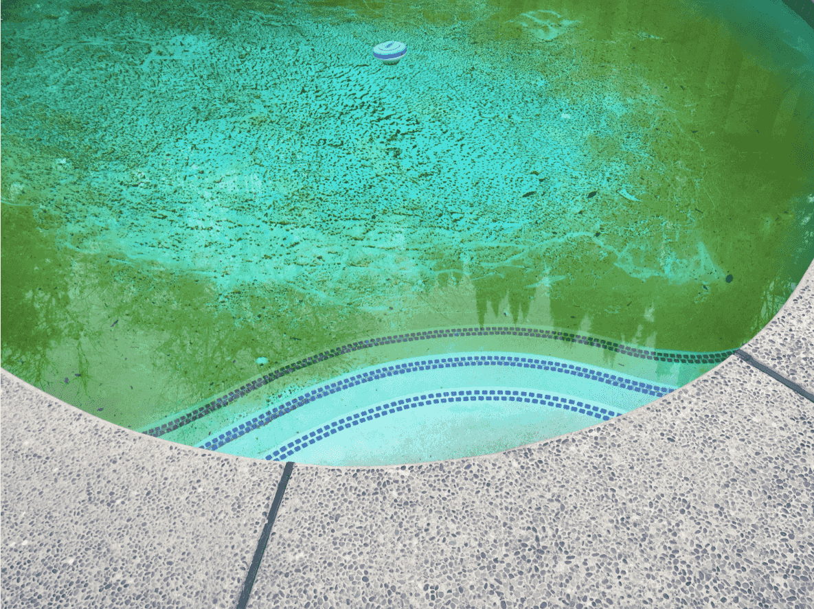 5 Simple Steps to Fix a Green Pool AstralPool Australia