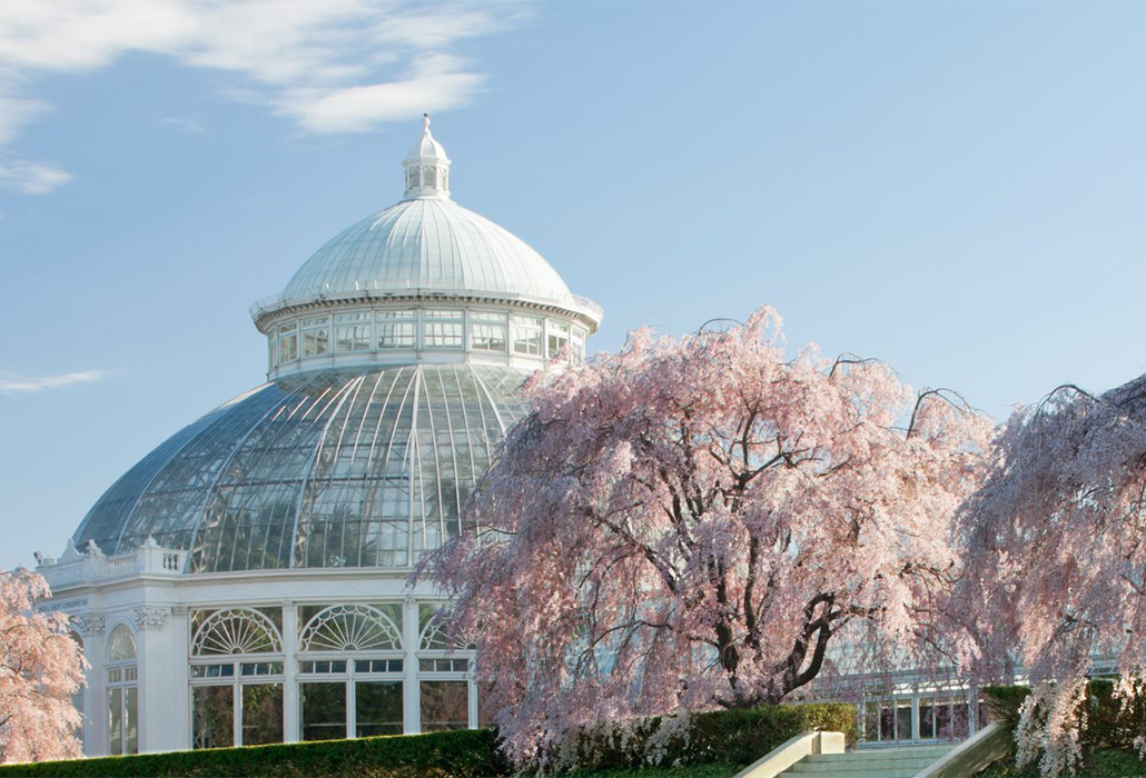 The Conservatory, Crystal Palaces and the Climate Revolution The