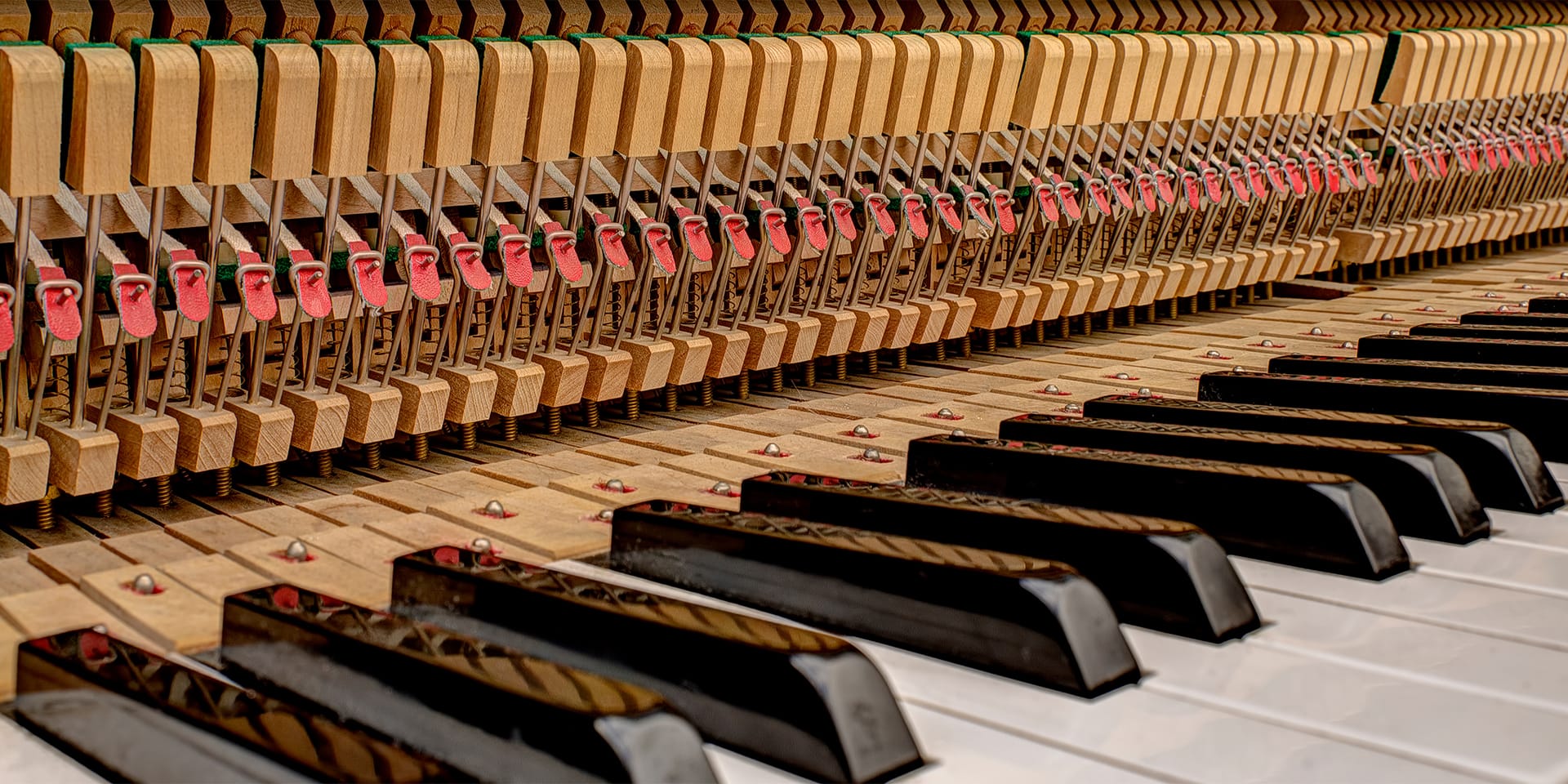 Musical Instrument Courses Short Courses Sydney